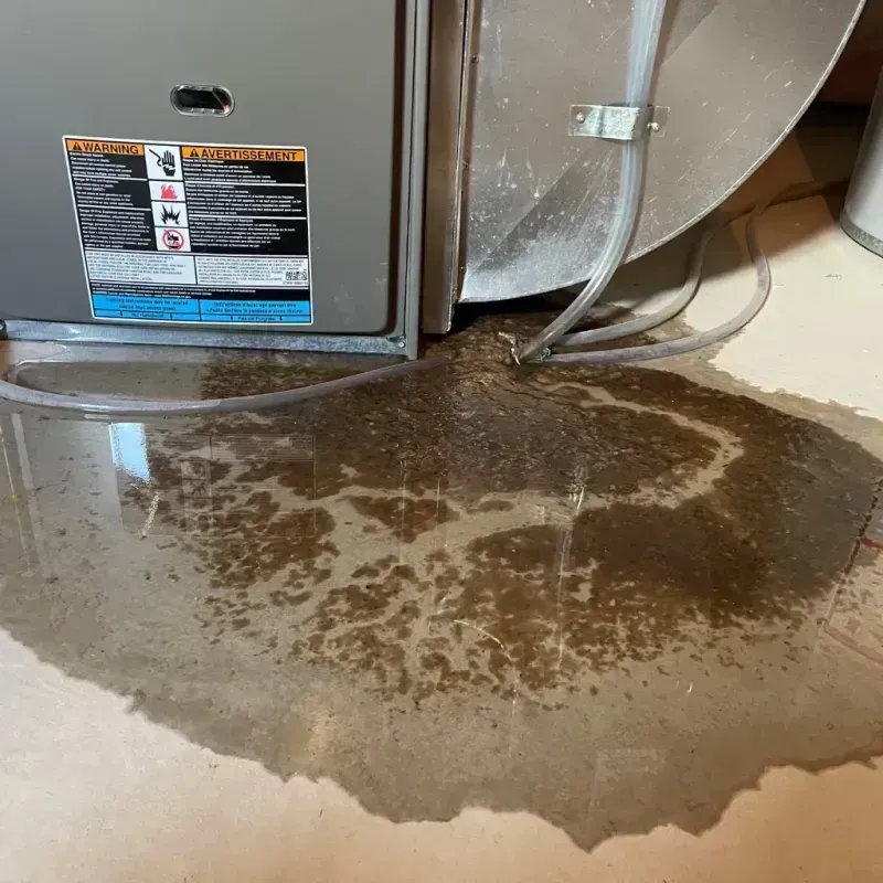 Appliance Leak Cleanup in North Bend, OR